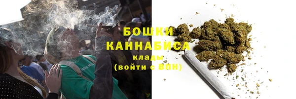 амф Верхний Тагил