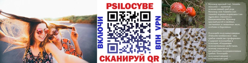 купить наркоту  Зеленоградск  Галлюциногенные грибы мицелий 